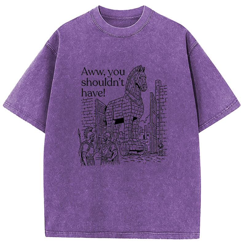 Tokyocanvas Aww, You Shouldn't Have! Washed T-Shirt
