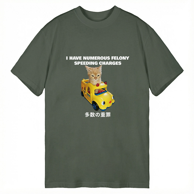 Tokyocanvas I Have Numerous Felonies For Speeding Classic T-Shirt
