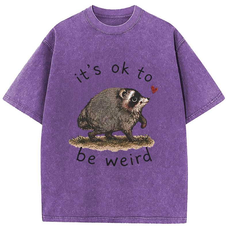 Tokyocanvas It’s OK to Be Weird Washed T-Shirt
