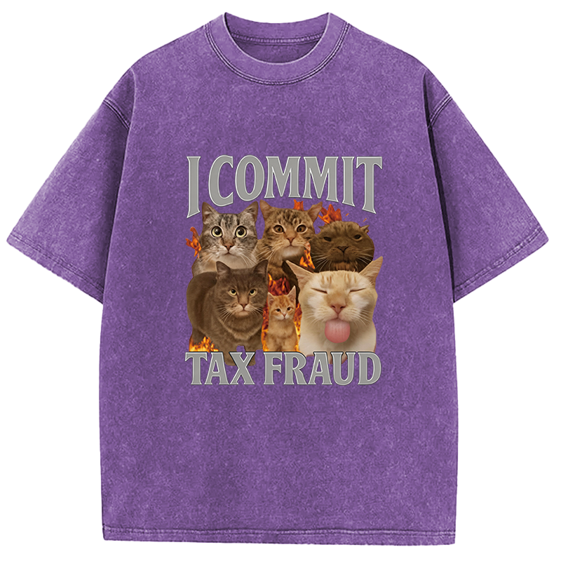 Tokyocanvas I Commit Tax Fraud Washed T-Shirt