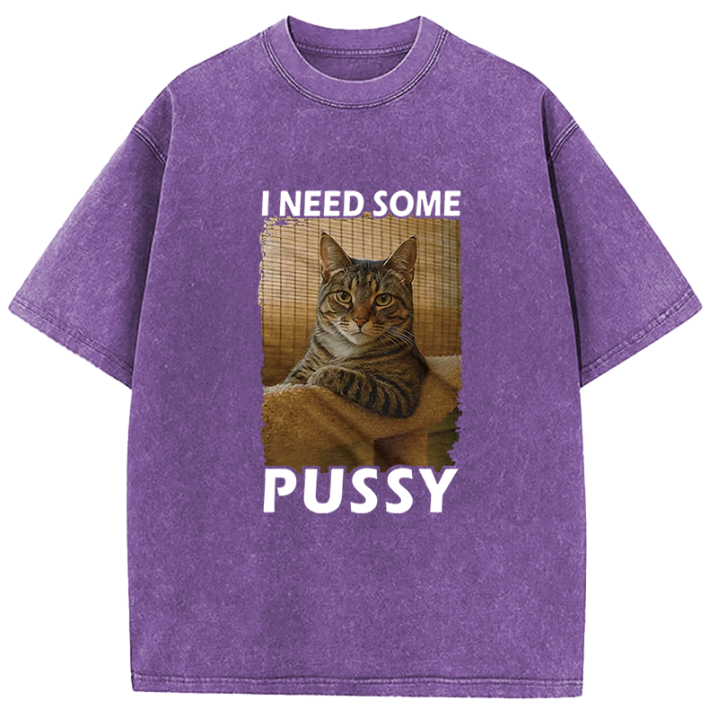 Tokyocanvas I Need Some Pussy Meme Washed T-Shirt