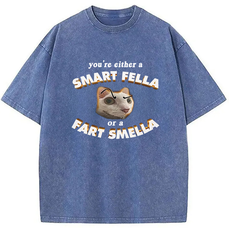 Tokyocanvas You're Either A Smart Fella Or A Fart Smella Funny Cat Washed T-Shirt