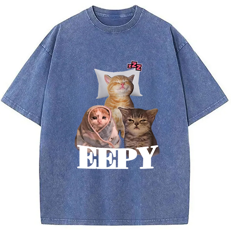 Tokyocanvas Eepy Cat Meme Washed T-Shirt