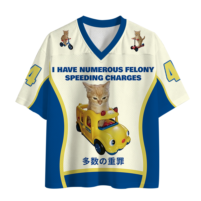 Tokyocanvas I Have Numerous Felonies For Speeding Mesh Jersey