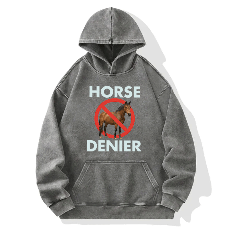 Tokyocanvas Funny Horse Denier Conspiracy Theory Washed Hoodie