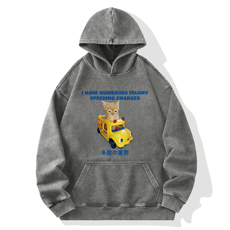 Tokyocanvas I Have Numerous Felonies For Speeding Washed Hoodie