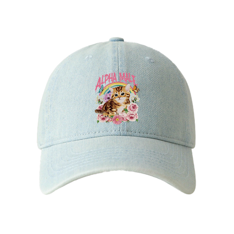 Tokyocanvas Alpha Male Denim Cap