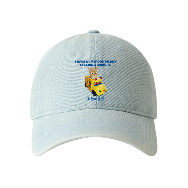 Tokyocanvas I Have Numerous Felonies For Speeding Denim Cap