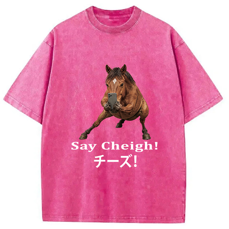 Tokyocanvas Say Cheigh! Horse Meme Washed T-Shirt