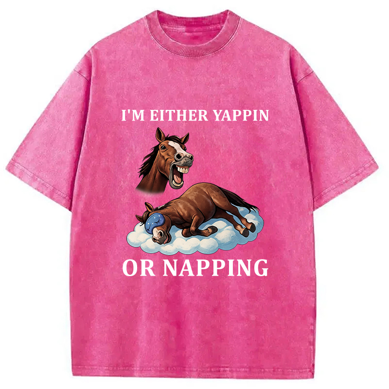 Tokyocanvas Im Either Yappin or Napping  Washed T-Shirt