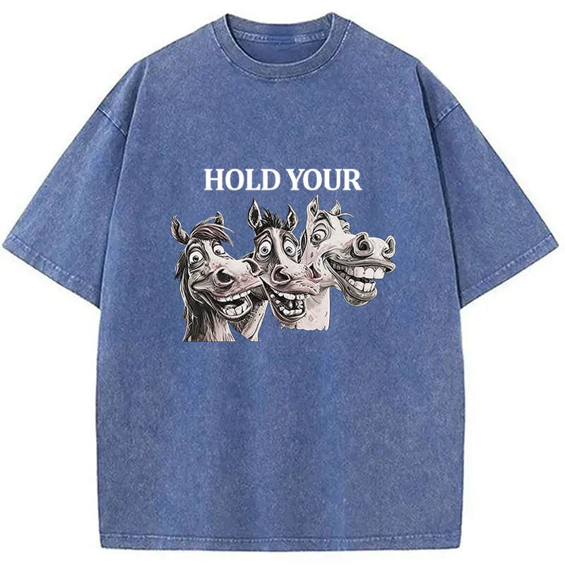 Tokyocanvas Hold Your Horses Meme Washed T-Shirt