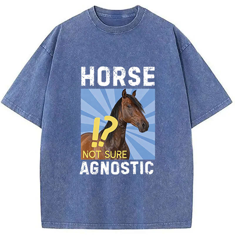 Tokyocanvas Horse Agnostic, Not Sure Essential Washed T-Shirt