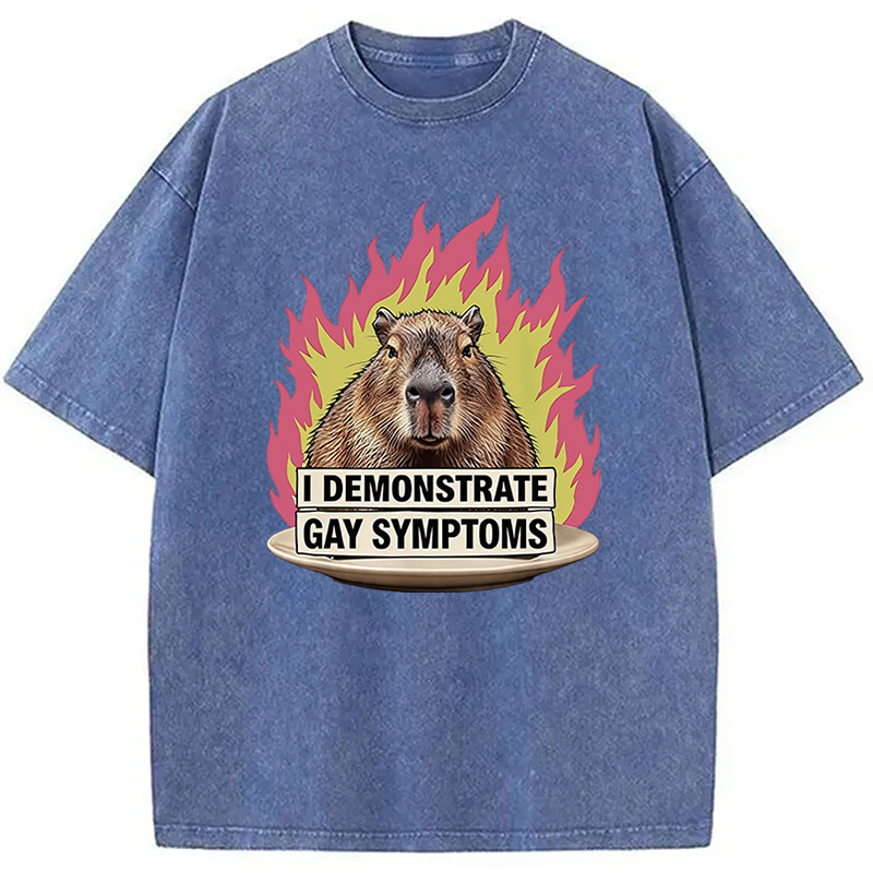 Tokyocanvas I Demonstrate Gay Symptoms Funny Washed T-Shirt