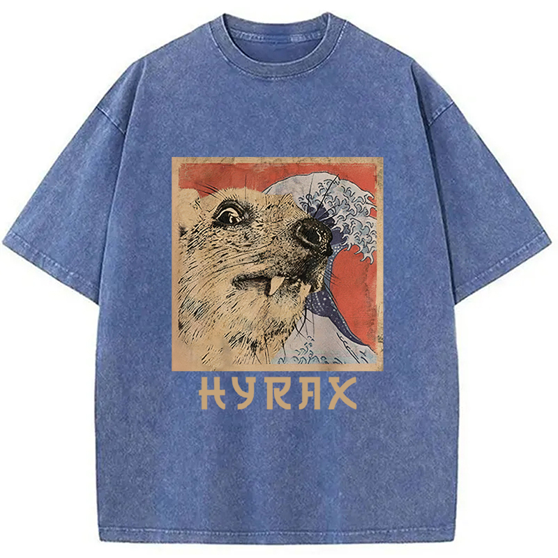 Tokyocanvas Hyrax Japanese Vintage Washed T-Shirt