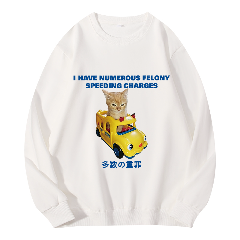 Tokyocanvas I Have Numerous Felonies For Speeding Classic Sweatshirt