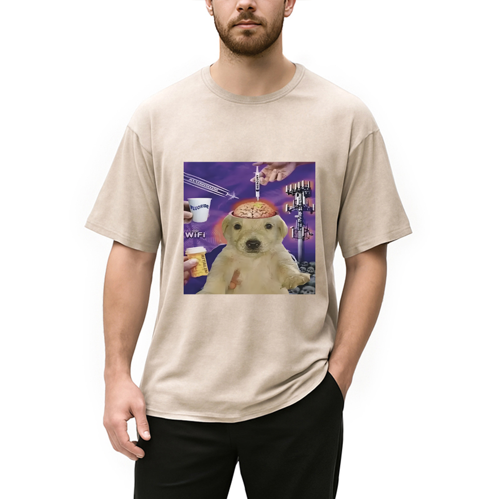Tokyocanvas Brainwashed Jotchua Meme Washed T-Shirt