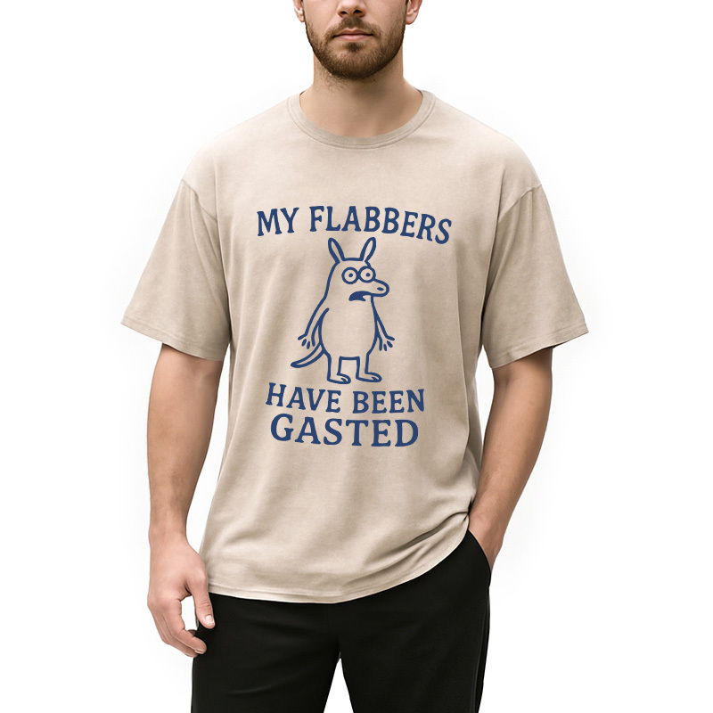 Tokyocanvas My Flabbers Have Been Gasted Funny Meme Washed T-Shirt