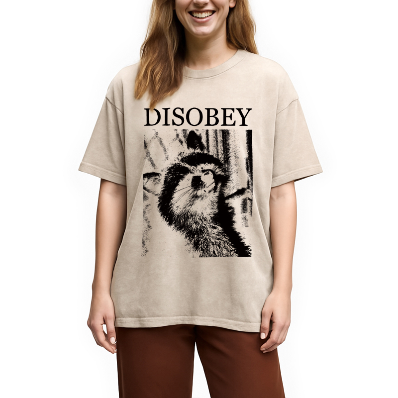 Tokyocanvas Disobey Raccoon Washed T-Shirt