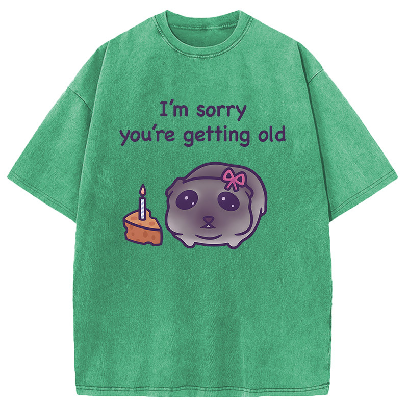 Tokyocanvas Sad Hamster Birthday Meme Washed T-Shirt