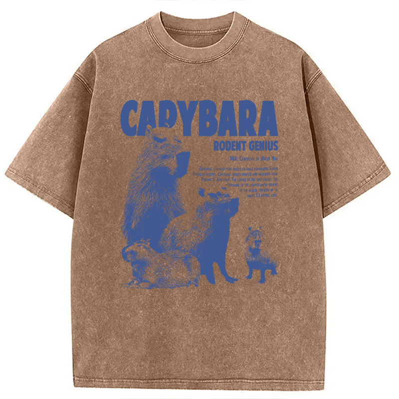 Tokyocanvas Capybara Vintage Washed T-Shirt