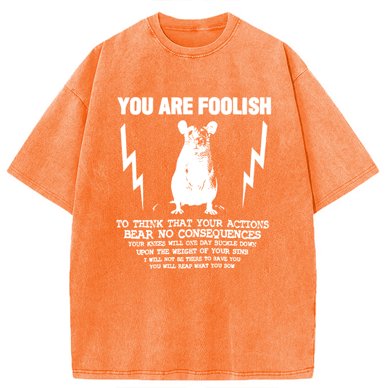 Tokyocanvas You Are Foolish Rat Meme Washed T-Shirt