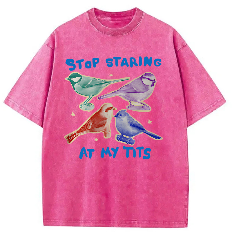 Tokyocanvas Stop Staring At My Tits Washed T-Shirt
