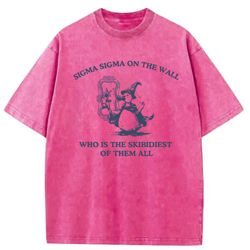 Tokyocanvas Sigma Sigma On The Wall Funny Brainrot Goose Washed T-Shirt