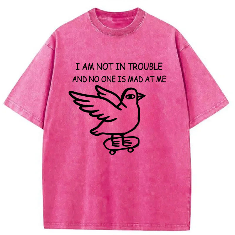 Tokyocanvas Bird Pretends It Did Nothing Wrong Washed T-Shirt