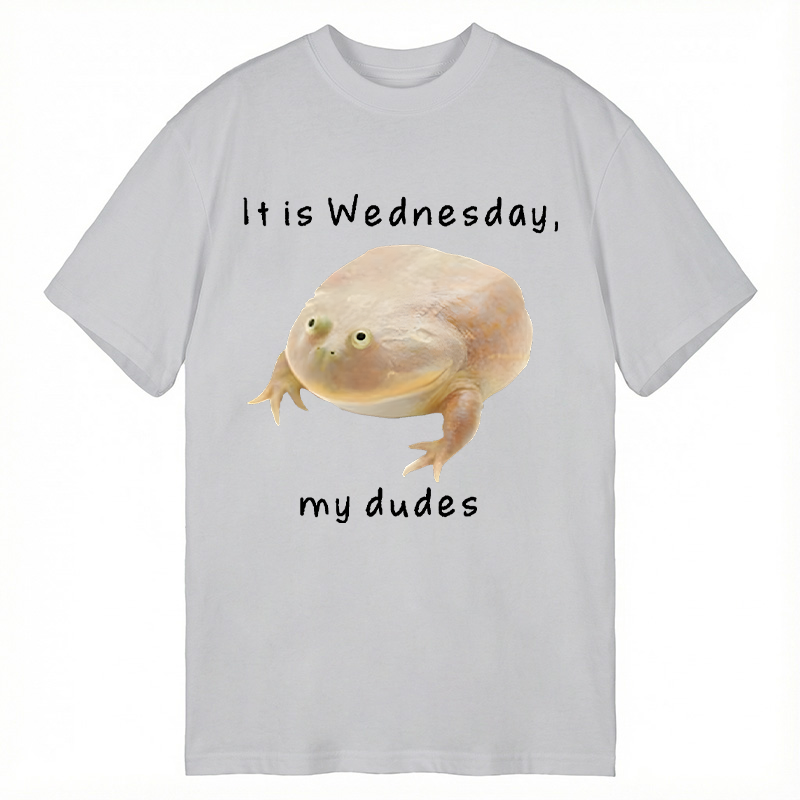 Tokyocanvas It's Wednesday my dudes Classic T-Shirt