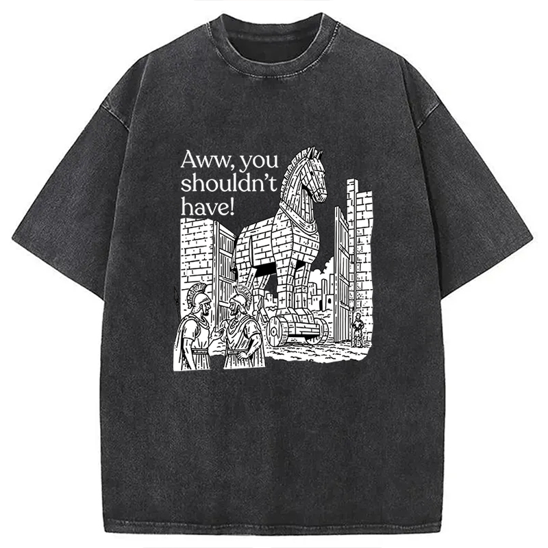 Tokyocanvas Aww, You Shouldn't Have! Washed T-Shirt