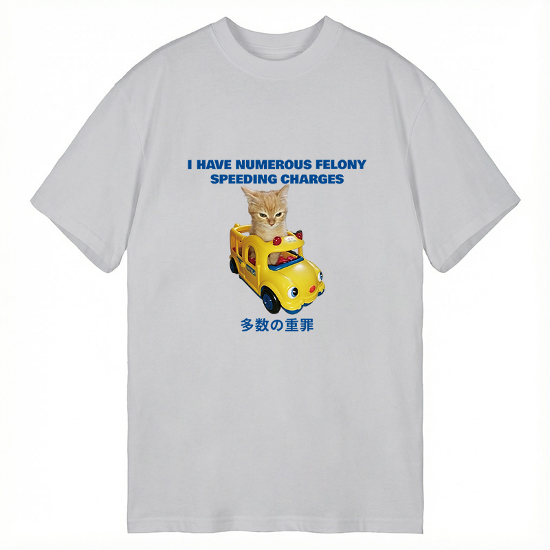 Tokyocanvas I Have Numerous Felonies For Speeding Classic T-Shirt