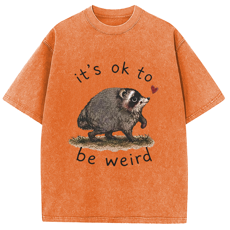 Tokyocanvas It’s OK to Be Weird Washed T-Shirt