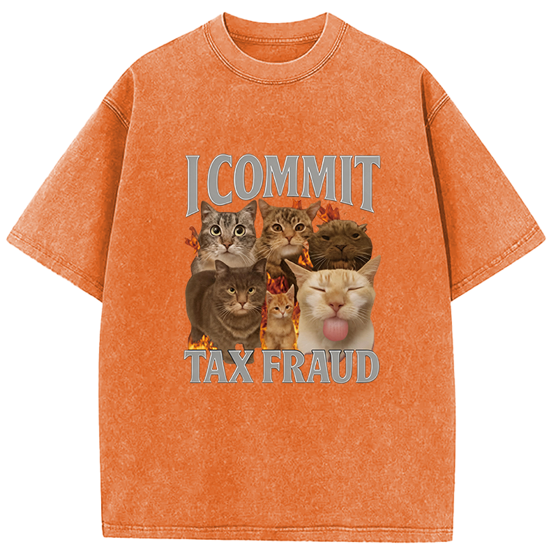 Tokyocanvas I Commit Tax Fraud Washed T-Shirt