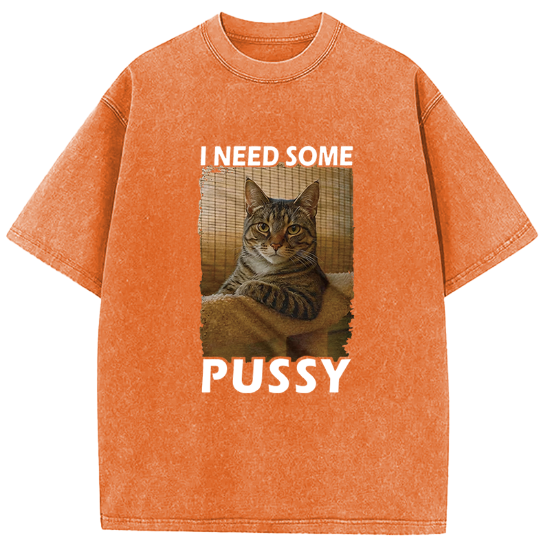 Tokyocanvas I Need Some Pussy Meme Washed T-Shirt