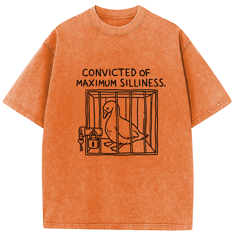 Tokyocanvas Convicted of Maximum Silliness Washed T-Shirt