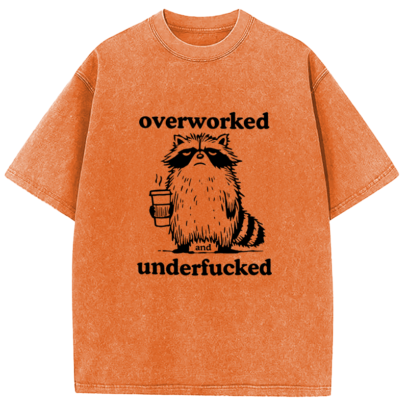 Tokyocanvas Overworked and Underfucked Washed T-Shirt