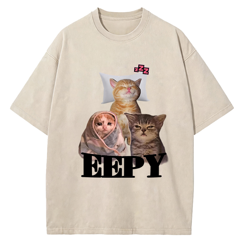 Tokyocanvas Eepy Cat Meme Washed T-Shirt