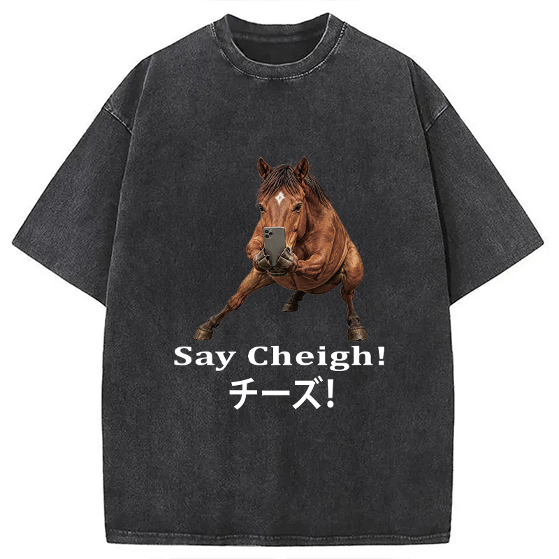 Tokyocanvas Say Cheigh! Horse Meme Washed T-Shirt