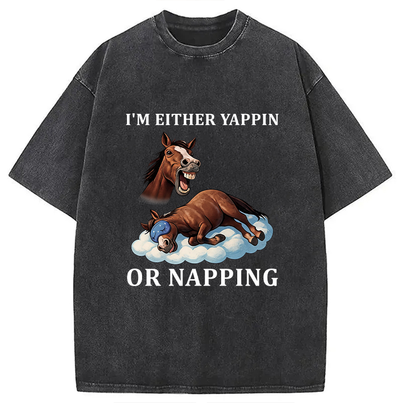 Tokyocanvas Im Either Yappin or Napping  Washed T-Shirt