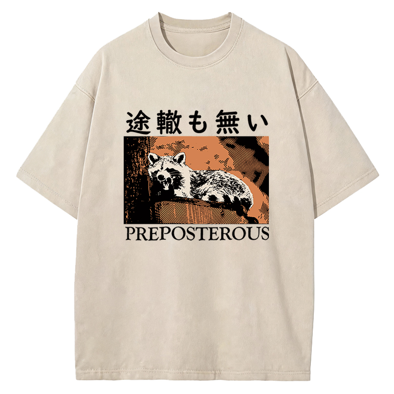 Tokyocanvas Preposterous Raccoon Washed T-Shirt