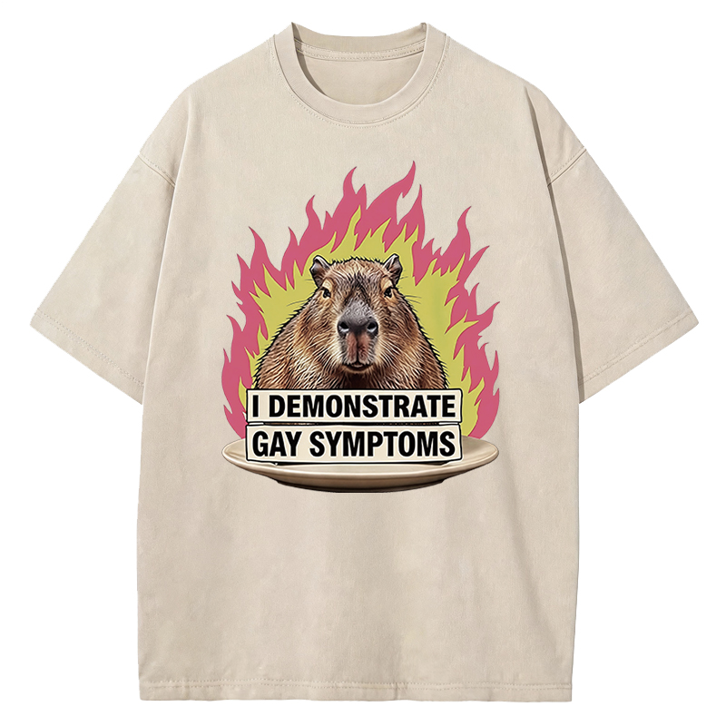 Tokyocanvas I Demonstrate Gay Symptoms Funny Washed T-Shirt