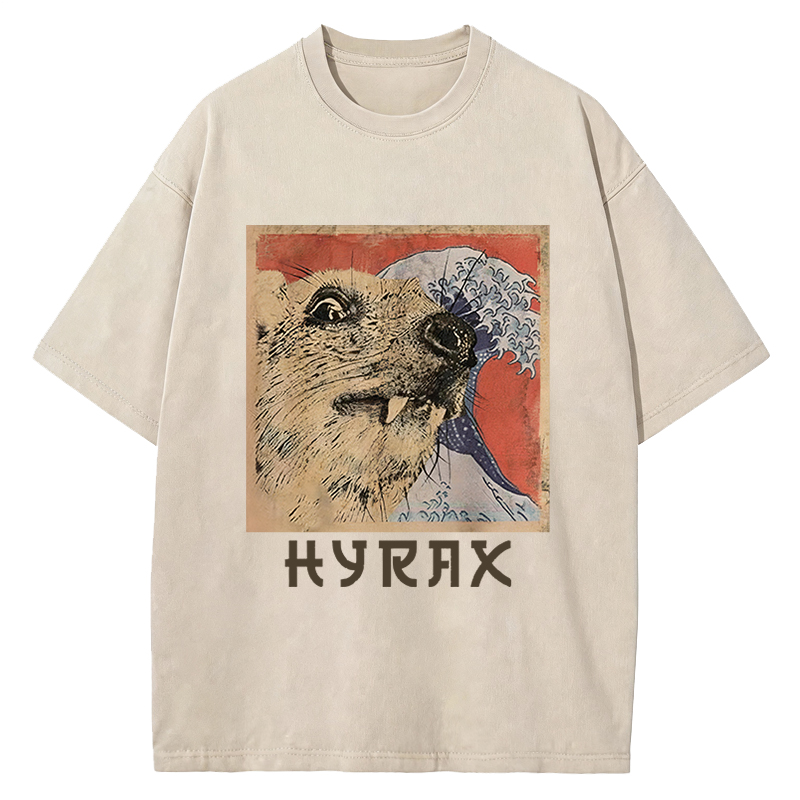Tokyocanvas Hyrax Japanese Vintage Washed T-Shirt
