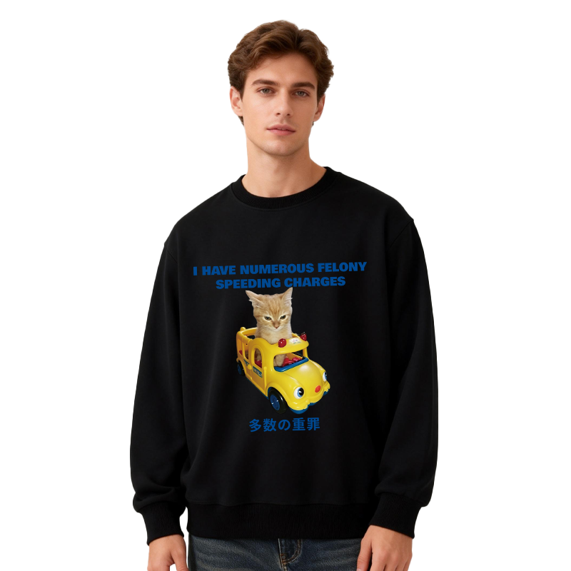 Tokyocanvas I Have Numerous Felonies For Speeding Classic Sweatshirt