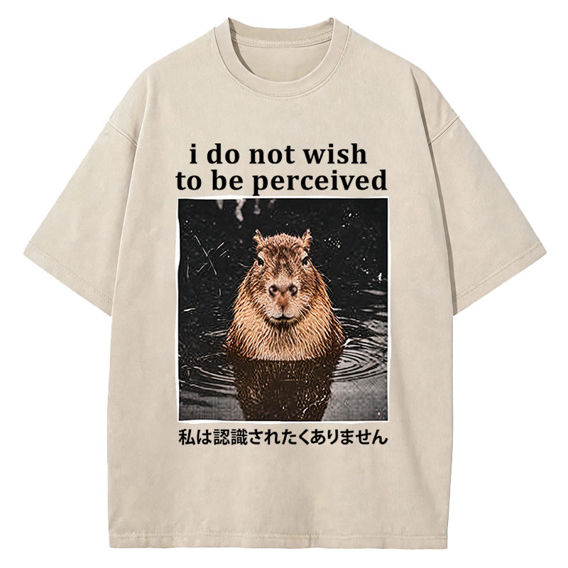 Tokyocanvas I Do Not Wish to Be Perceived Capybara Washed T-Shirt