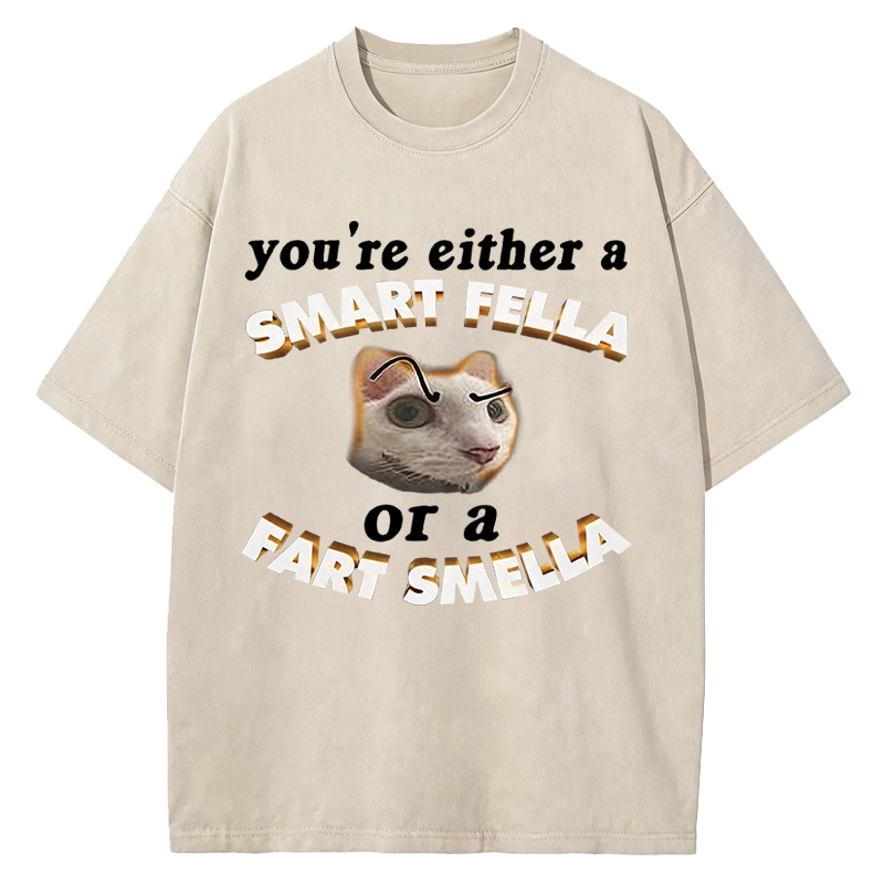Tokyocanvas You're Either A Smart Fella Or A Fart Smella Funny Cat Washed T-Shirt