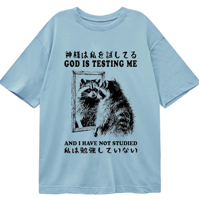 Tokyocanvas Raccoon Not Studied Classic T-Shirt