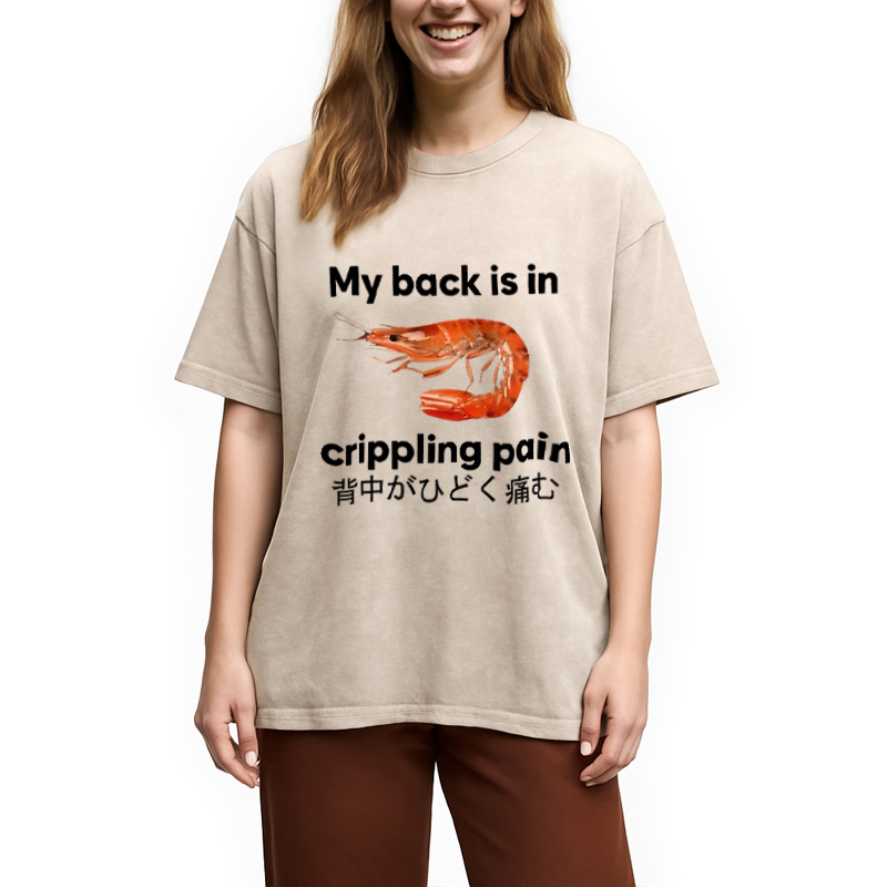 Tokyocanvas My Back Is in Crippling Pain Washed T-Shirt