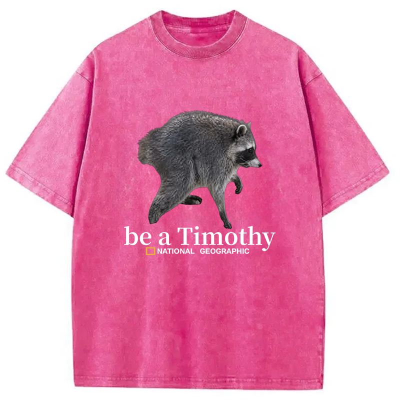 Tokyocanvas Be a Jimothy Washed T-Shirt