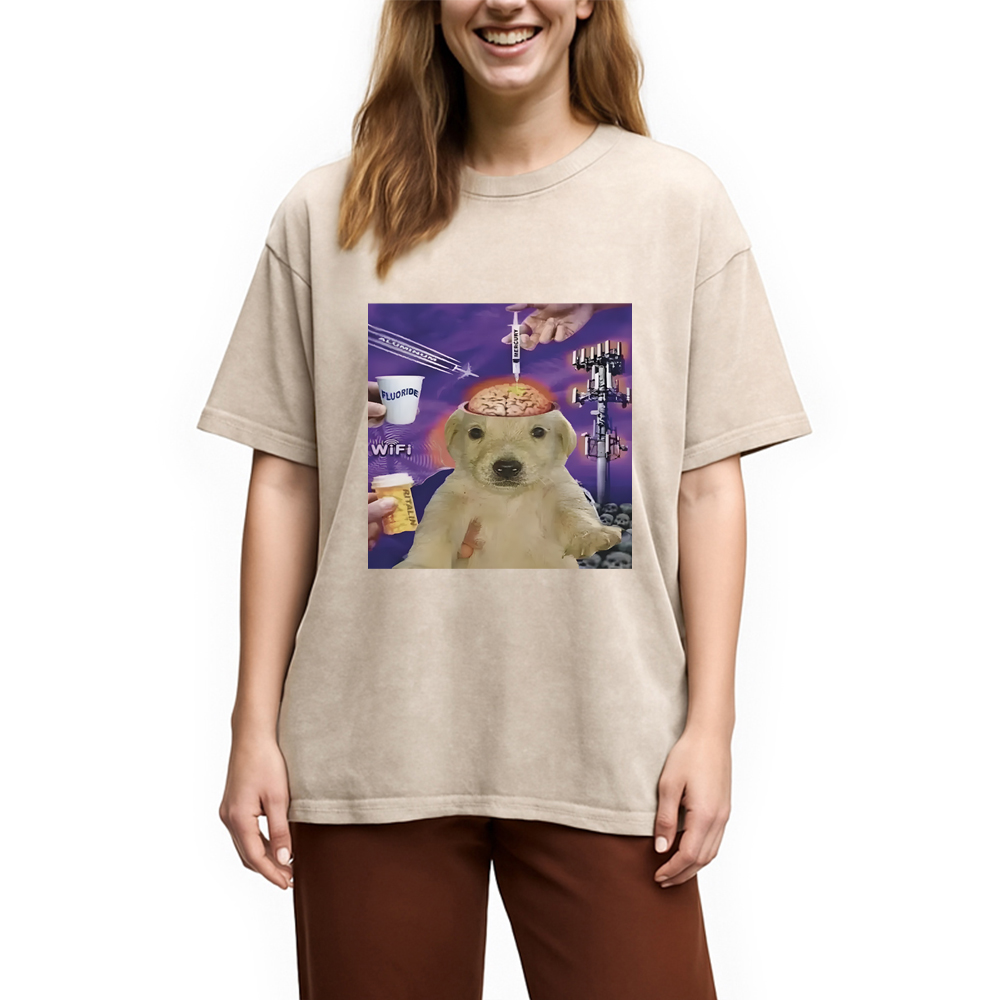Tokyocanvas Brainwashed Jotchua Meme Washed T-Shirt