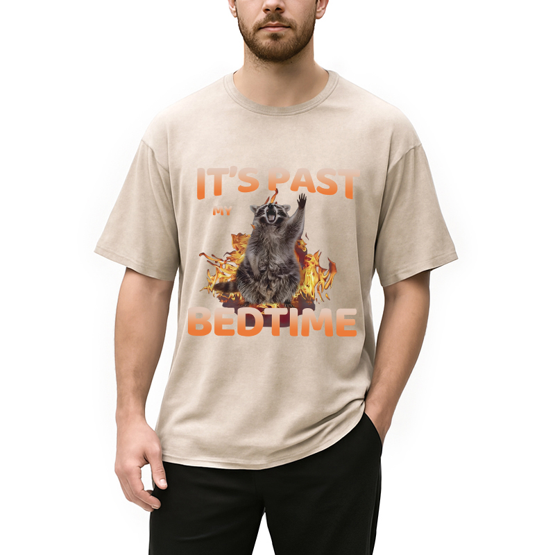 Tokyocanvas It's Past My Bedtime Washed T-Shirt